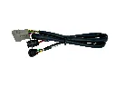 FG001 REV B.webp